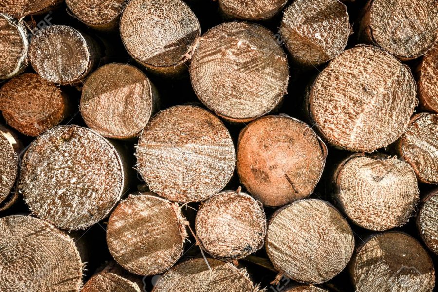 Pile or stack of natural fire wood logs texture background. Abstract photo of natural wooden logs texture.